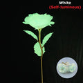 Luminous Eternal Rose Flower with 24K Gold Foil – Glow in the Dark Artificial Rose | Romantic Valentine’s Day & Mother’s Day Gift